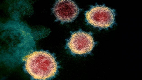 Biến thể virus SARS-CoV-2 tại Anh đã lan ra toàn thế giới