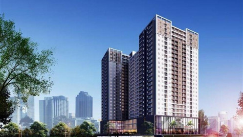 NTL giảm chỉ tiêu lợi nhuận năm 2021 