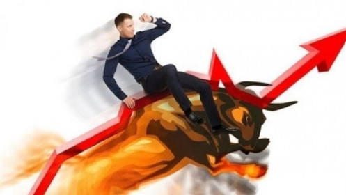 Nhịp đập Thị trường 11/01: Trạng thái tích cực tiếp diễn