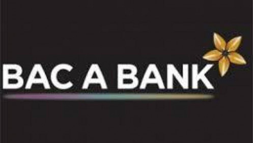 Bac A Bank: Tăng 73% chi phí dự phòng, lãi trước thuế 2020 giảm 21%