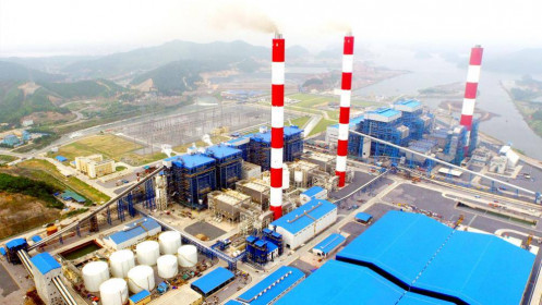 Doanh thu giảm, Nhiệt điện Quảng Ninh vẫn báo lãi 2020 tăng 18%
