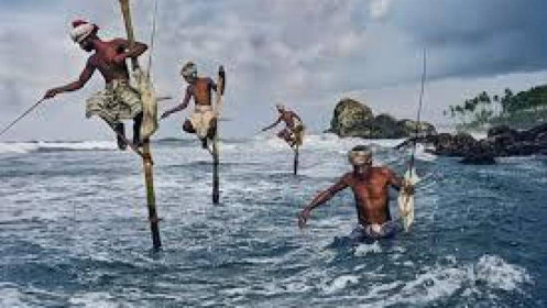 Chứng khoán ngày 29/1: Bắt đáy một phần danh mục để thăm dò