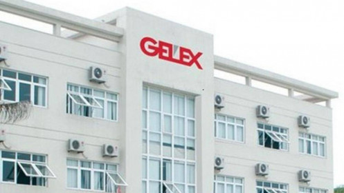Gelex báo lãi trước thuế 1,190 tỷ đồng năm 2020, vượt 61% kế hoạch được giao
