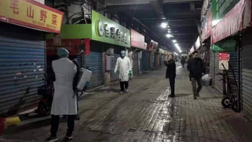 Nhóm điều tra nguồn gốc Covid-19 của WHO đến chợ hải sản Vũ Hán, thấy cảnh "kỳ lạ"