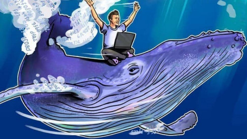 Học kiếm lời từ chứng khoán theo cách của những “cá voi”