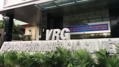 Tập đoàn cao su Việt Nam tiếp tục kiến nghị giảm tỷ lệ chia cổ tức