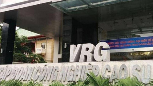 Thanh tra điểm tên VRG, Vinafor, Vinatea do sai phạm trong quản lý đất đai