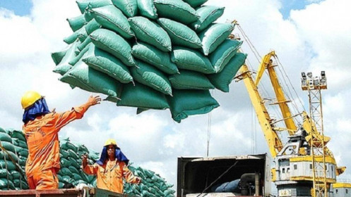 Xuất khẩu gạo: Giảm khối lượng nhưng tăng giá