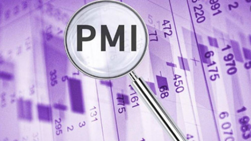 PMI tháng 2 đạt 51.6 điểm, sản lượng tăng trở lại