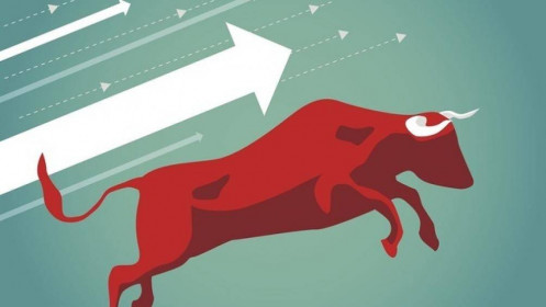 Nhịp đập Thị trường 01/03: Khối lượng giao dịch tăng cao, VN-Index hướng tới mức 1,200 điểm