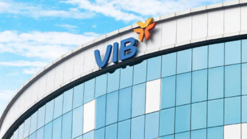 Vợ Phó Tổng Giám đốc VIB đã mua gần 1 triệu cổ phiếu