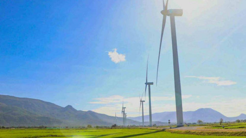 Ninh Thuận: Hủy bỏ phê duyệt Danh mục dự án Nhà máy điện gió Bim