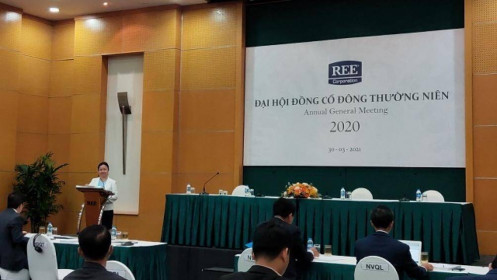 Chủ tịch Nguyễn Thị Mai Thanh: “Thị trường chứng khoán đã đánh giá tương đối đúng về REE”