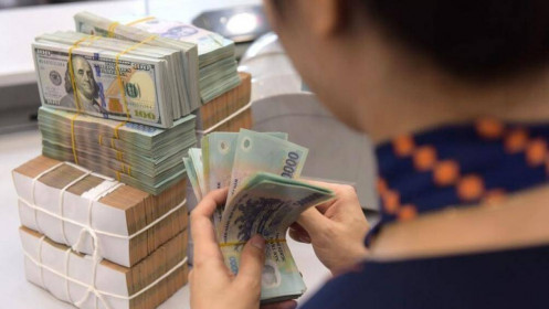 HSG sẽ thoái hết vốn tại Hoa Sen Du Long