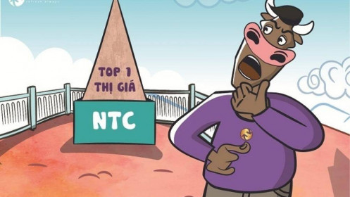 NTC - đầy tiềm năng hay chỉ là hiện tượng nhất thời?