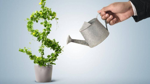 Học cách đầu tư hiệu quả từ các doanh nhân