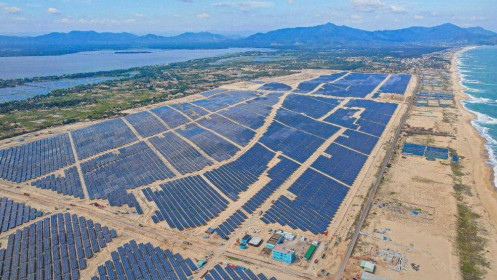 Bamboo Capital: Khánh thành Nhà máy năng lượng mặt trời Phù Mỹ