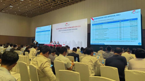 ĐHĐCĐ CTD: Tham vọng 3 tỷ USD