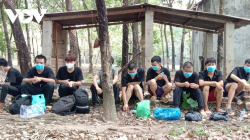 Phát hiện 9 người Trung Quốc nhập cảnh trái phép ở Bình Phước