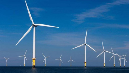Điện gió ngoài khơi của Việt Nam “hấp dẫn” nhà đầu tư nước ngoài