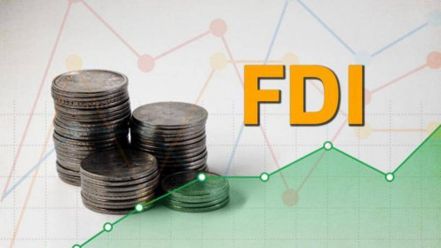 Doanh nghiệp FDI có gì ?