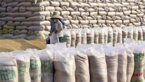 Việt Nam giữ vững vị trí Á Quân xuất khẩu gạo trên thế giới