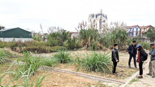 Thị trường BĐS quay lại mức hấp thụ tốt trong quý đầu năm nay