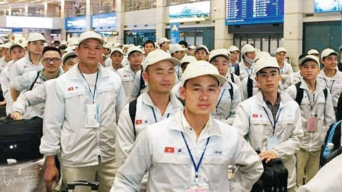 Nối lại chương trình đưa lao động Việt Nam sang Hàn Quốc