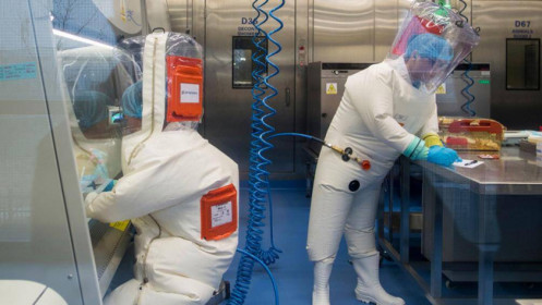 Chuyên gia Anh và Na Uy khẳng định SARS-CoV-2 xuất phát từ phòng thí nghiệm