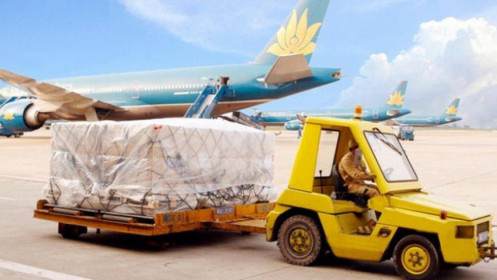 Noibai Cargo lên kế hoạch trả cổ tức với tỷ lệ 75%