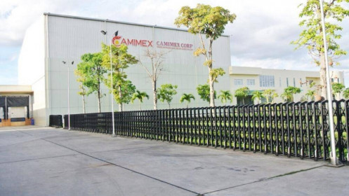 Camimex Group (CMX) thông qua phương án phát hành riêng lẻ 30 triệu cổ phiếu