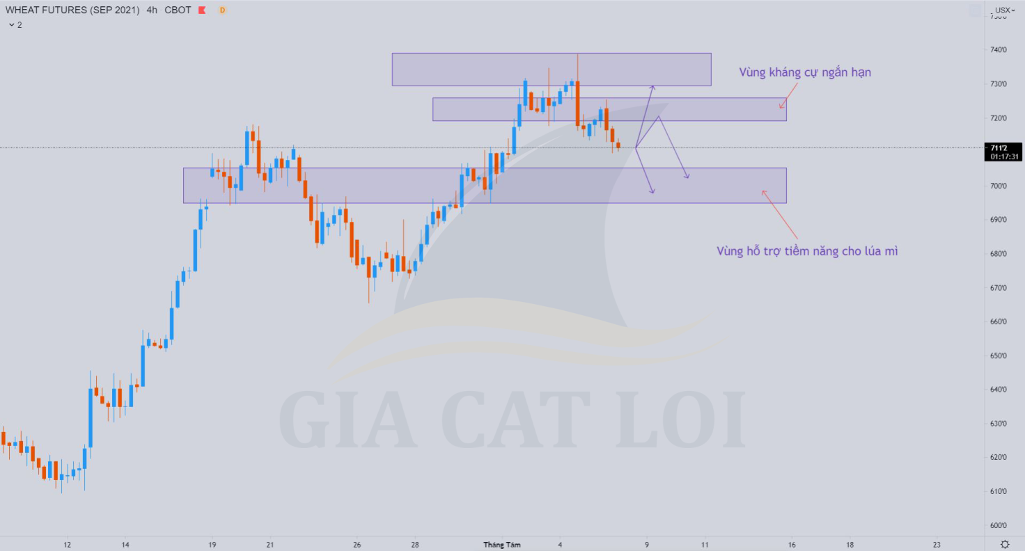 Phân Tích Lúa Mì Ngày 06/08/2021: Lúa Mì Đã Bước Vào Sóng Điều Chỉnh Giảm. Hiện tại thì lúa mì đã bước  ...