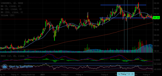 Chờ sự trở lại của VHM sau hơn 1 tháng sóng gió . Cổ phiếu VHM của Vinhomes đã về lại nền giá cũ trước  ...