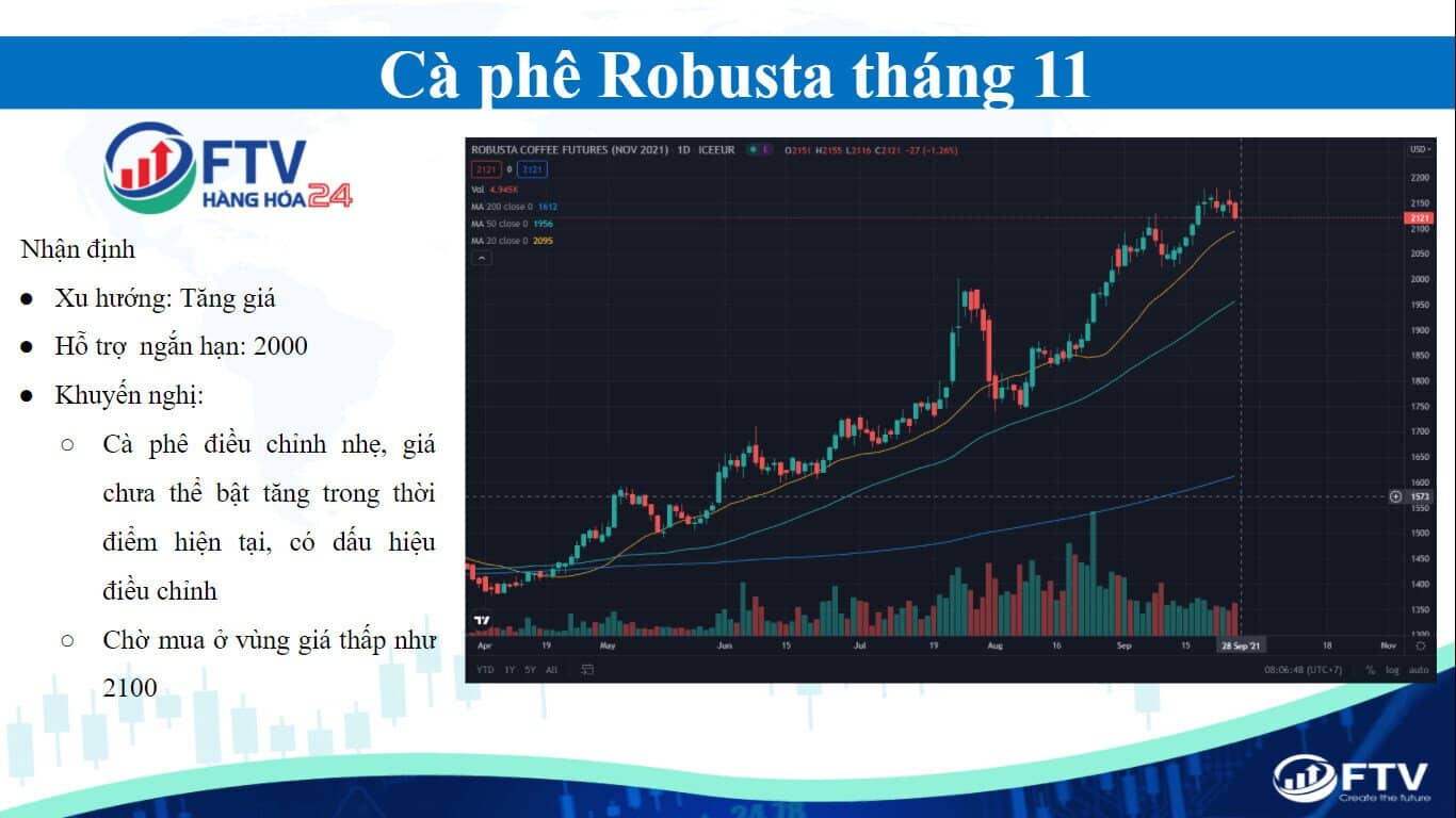 Thị trường cà phê 28/9: Nhịp chỉnh nhẹ