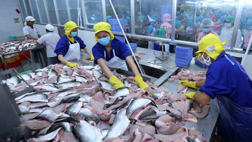 2 doanh nghiệp xuất khẩu cá tra-basa Việt Nam không bán phá giá tại Mỹ