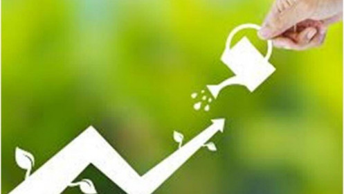 Qua "cơn say" thanh khoản có dấu hiệu “hụt hơi”