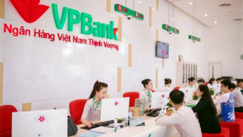 Ngựa chiến VPB và những điều cần lưu ý