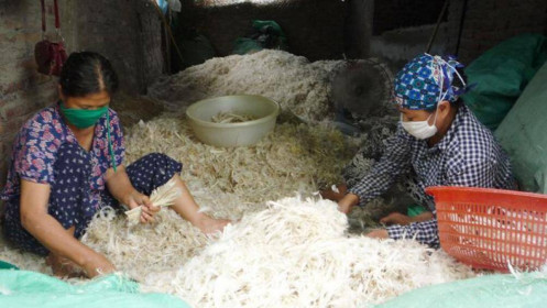 Trung Quốc mua 4.000 tấn lông gà, lông vịt để làm gì ?