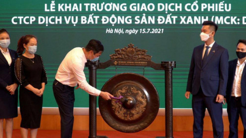 DXS chào sàn cổ phiếu đỏ lòm, nhà đầu tư lơ ngơ