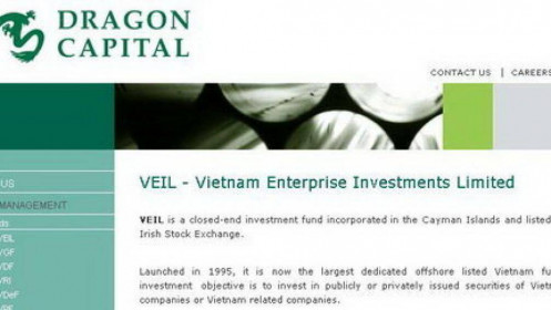 Quỹ VEIL gia tăng tỷ trọng danh mục trước cú sụp của chứng khoán Việt