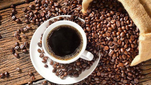 Bản tin cà phê 22/07:  Nguyên nhân đà tăng của Cà phê là gì?
