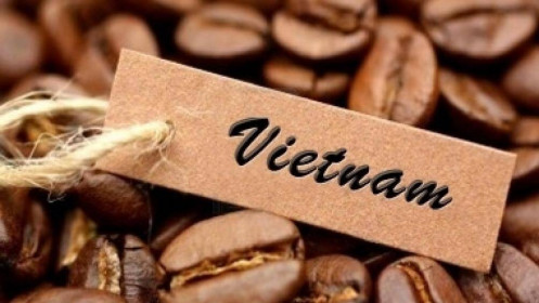 Giá cà phê thế giới tăng mạnh, ngành xuất khẩu Cà phê của Việt Nam được hưởng lợi?