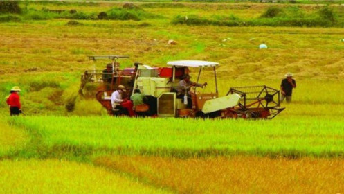 Trà Vinh: Thủ tướng Chính phủ đồng ý cho chuyển đổi 38,5ha đất trồng lúa sang đất phi nông nghiệp