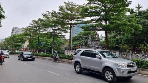 Bắt Tổng Giám đốc Cty Cây xanh Hà Nội và 6 bị can vì 'thổi giá' cây, gây thiệt hại 30 tỷ đồng