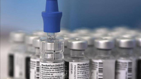 Australia sẽ tiêm vaccine Pfizer cho trẻ em yếm thế từ 12-15 tuổi