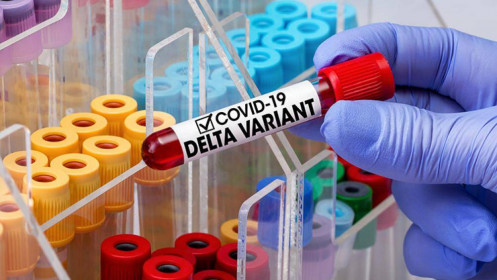 Vaccine: Tính khoa học và minh bạch