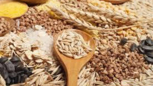 Phân tích lúa mì và ngô ngày 17/08/2021: Các nhà đầu tư mua ròng