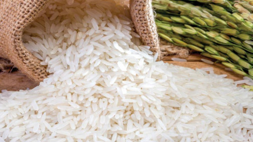 Dự báo sản lượng gạo toàn cầu năm 2021-2022 đạt mức kỷ lục