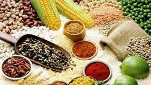 Phân tích nhóm ngành nông sản ngày 30/08/2021: Giá lúa mì tăng 1% do nguồn cung thắt chặt