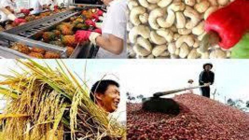 Bản Tin Nhóm Nông Sản Ngày 06/09/2021: Giá Lúa Mì Tăng Nhẹ Trong Khi Giá Ngô Giảm